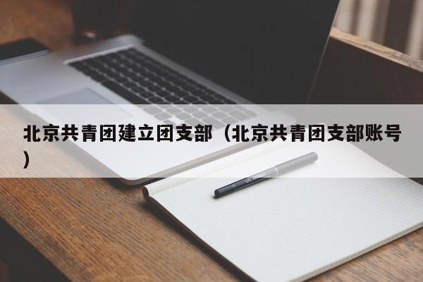 北京共青團建立團支部(北京共青團支部賬號)